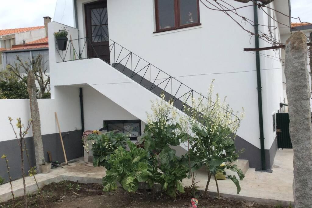Apartment Casa Isabel 2 Bedroom Near Porto